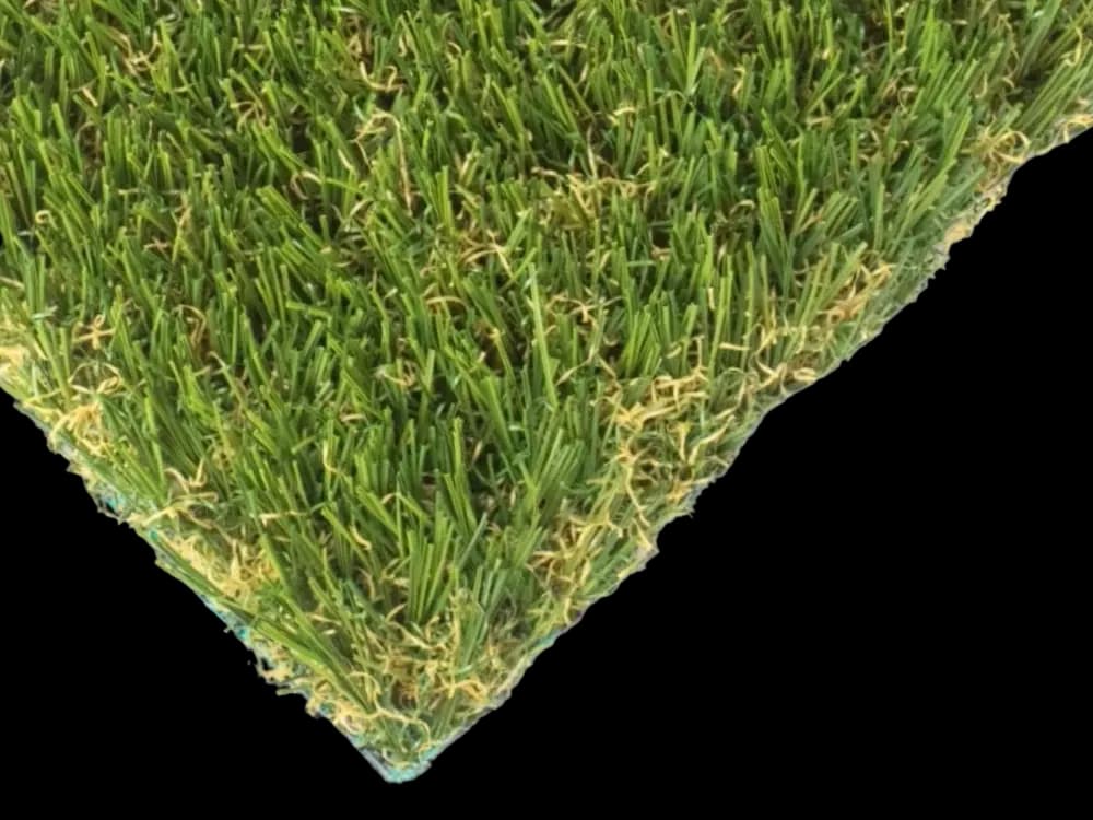 SYNFescue 343