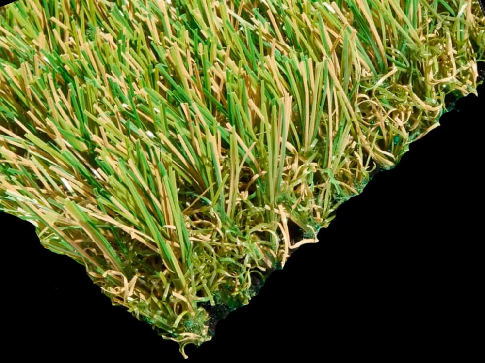 SYNRye 246