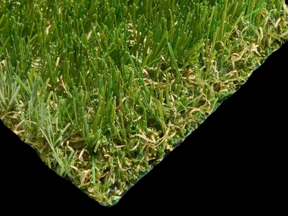 SYNRye 247