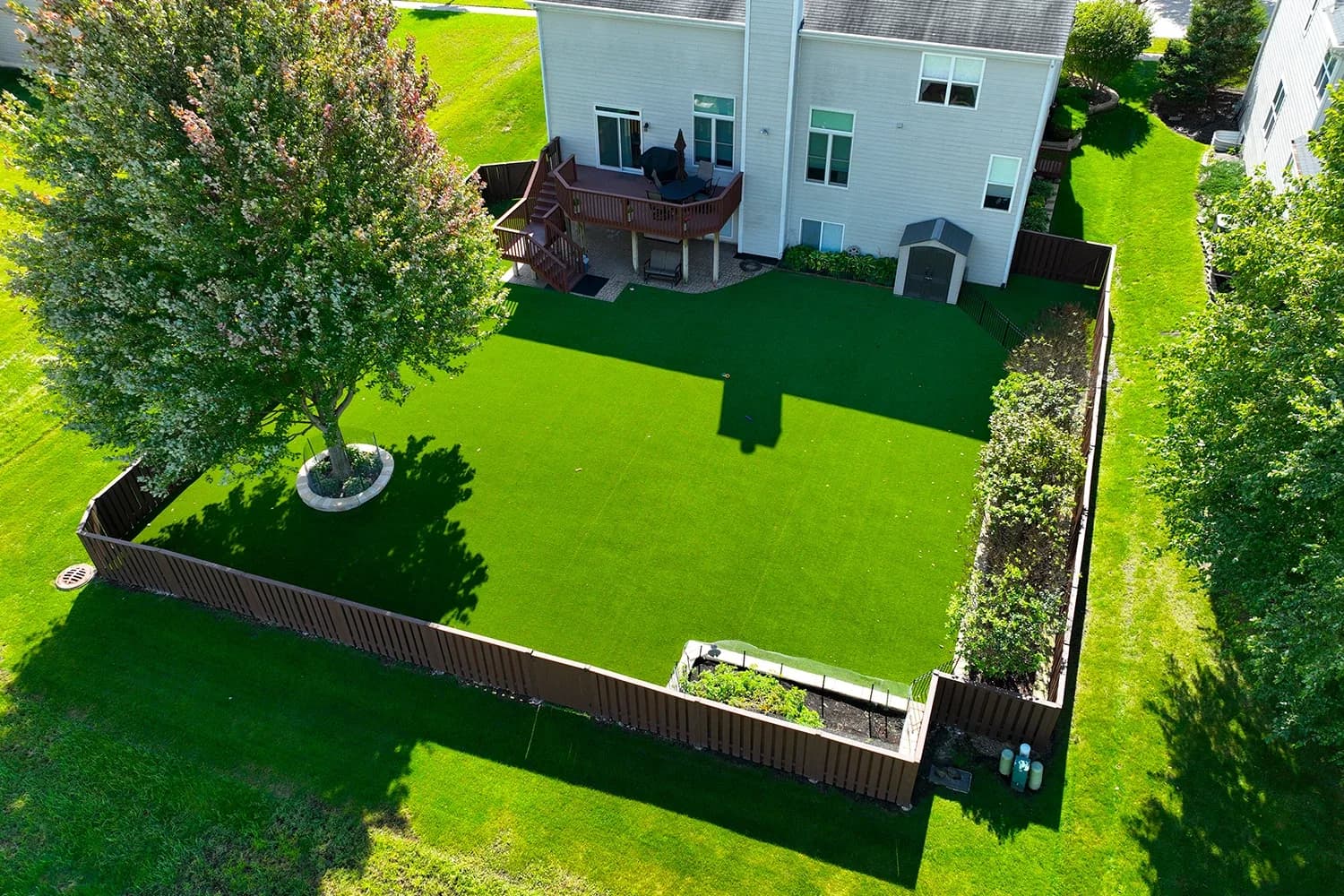 Backyard Paradise Carpet
