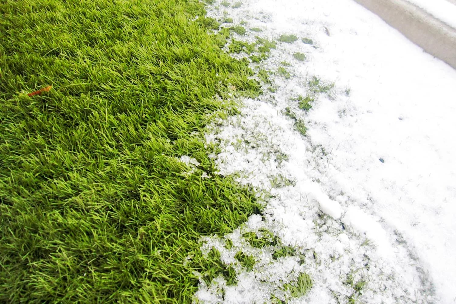 How to Care Your Synthetic Turf in Chicago’s Winter