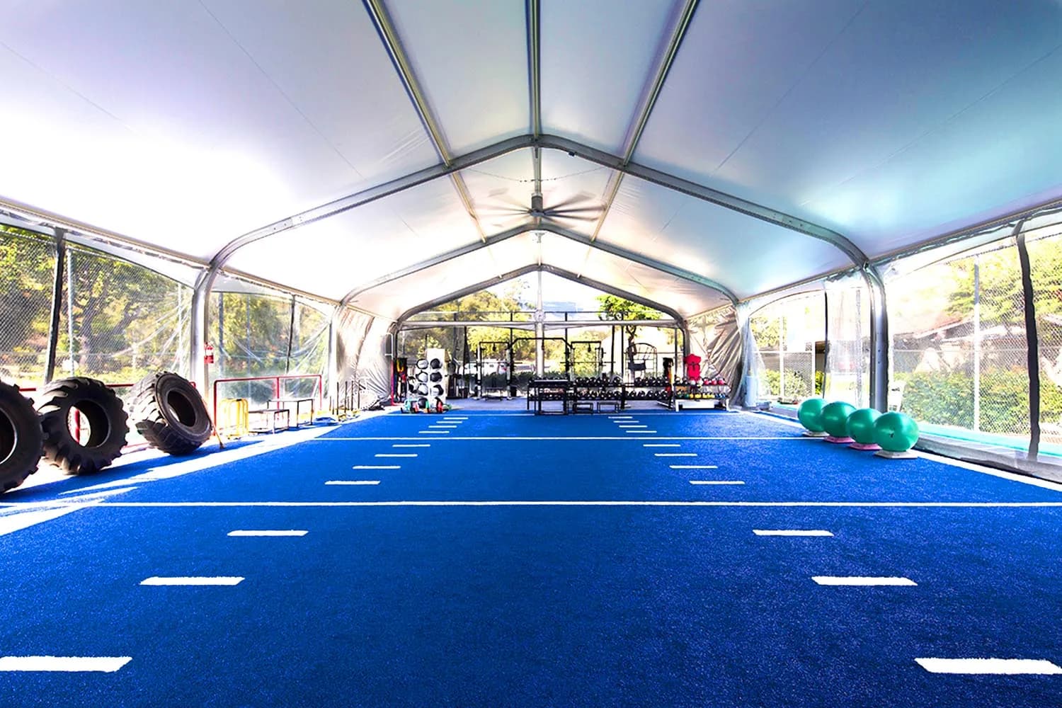 Why Artificial Turf is Perfect for a Gym?