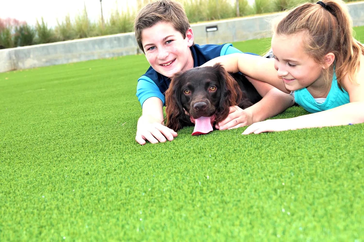 SynLawn Chicago pet-friendly backyard turf installation