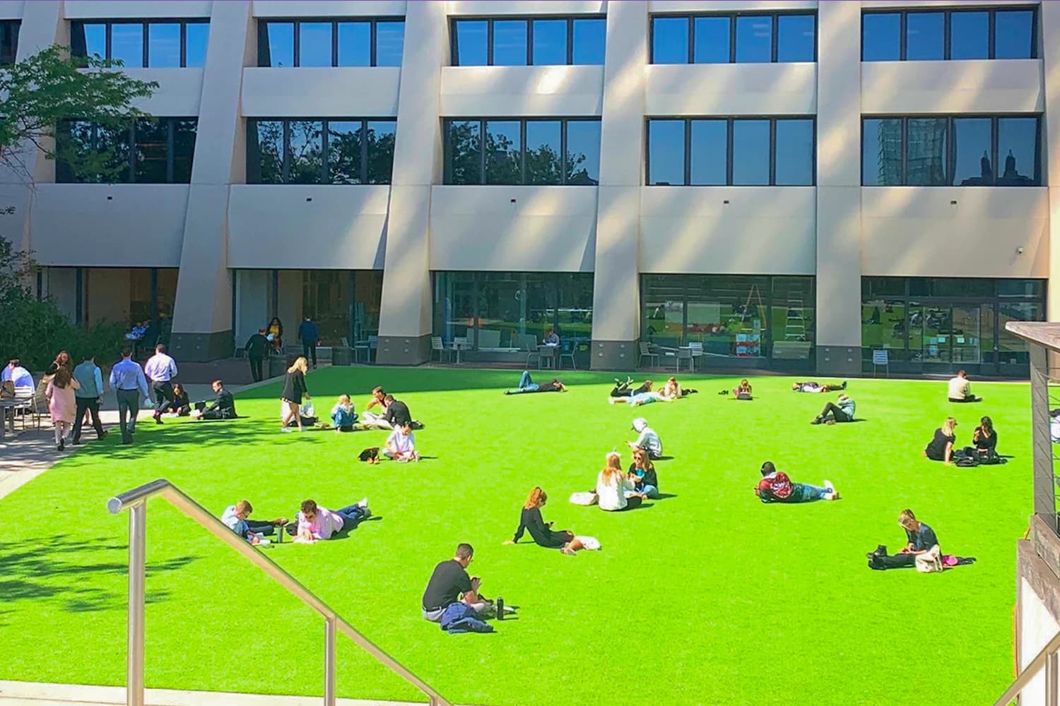 SYNLawn Chicago Schools and Universities