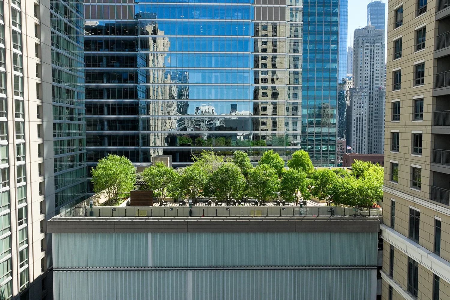 SYNLawn Chicago Synthetic Turf
